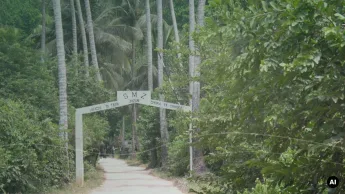 Floresta de Jozani usada como imagem editorial para atividades em Zanzibar